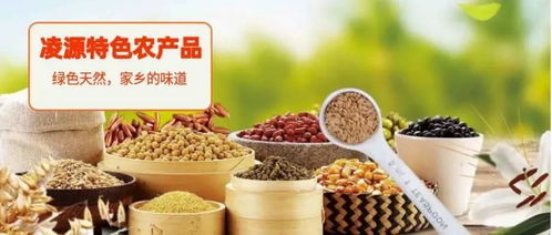 凌源市食用农产品销售公告