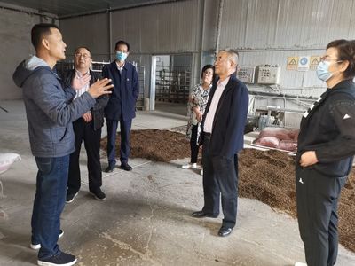 九三学社武威市委员会调研食用菌产业发展现状与销售对策