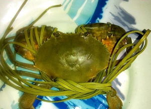 11月食用农产品安全通告 多地抽检发现不合格产品，消费者购买需谨慎