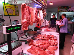 新会区人民政府 多措并举，筑牢食用农产品销售安全防线