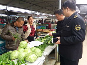 枣庄全面实施韭菜产品'双证制'管理，保障食用农产品销售安全