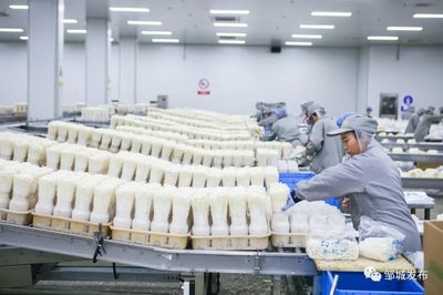 壮丽70年·奋斗新时代 | 邹城 “一张蓝图”绘就乡村振兴新图景 食用农产品销售